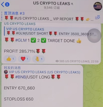 US CRYPTO LEAKS